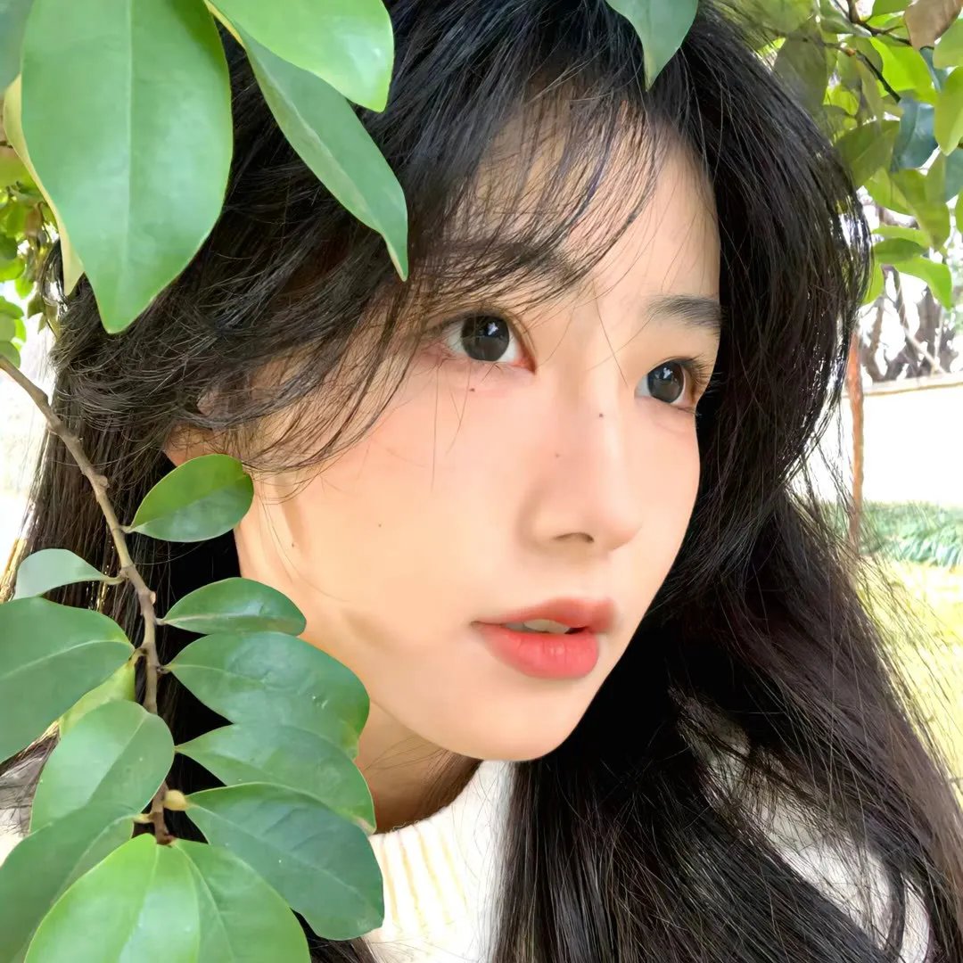 神枪少女第二季